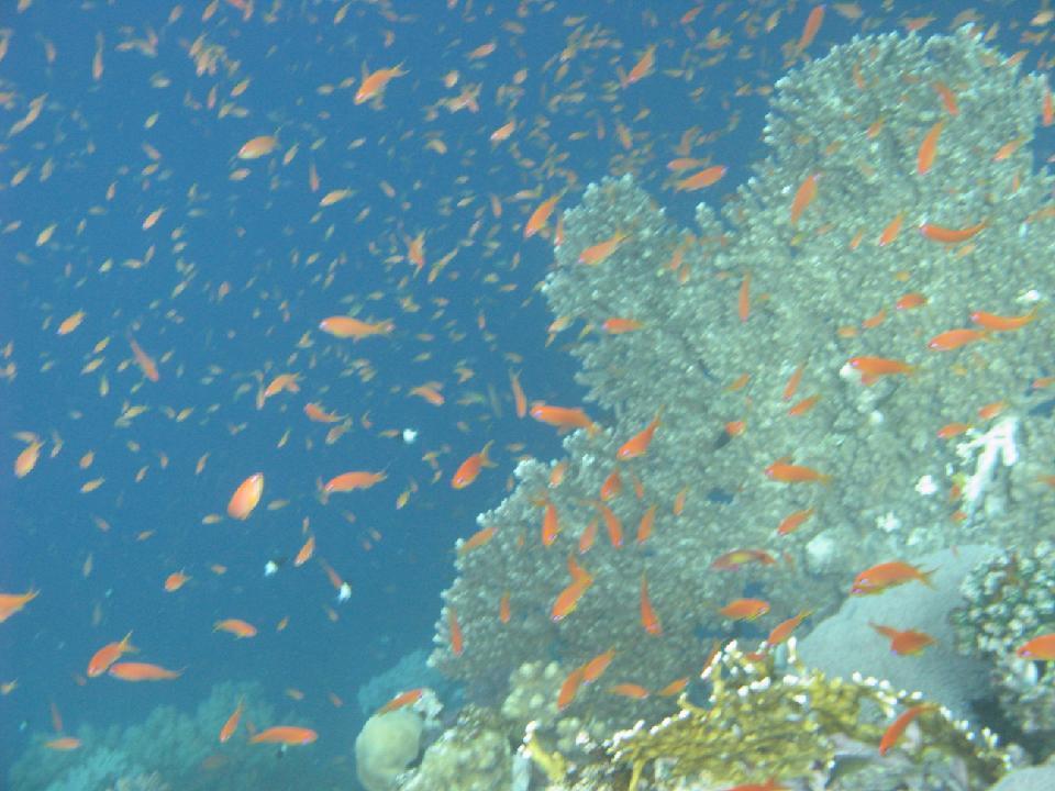 2012_02_16 rotes meer 264.jpg